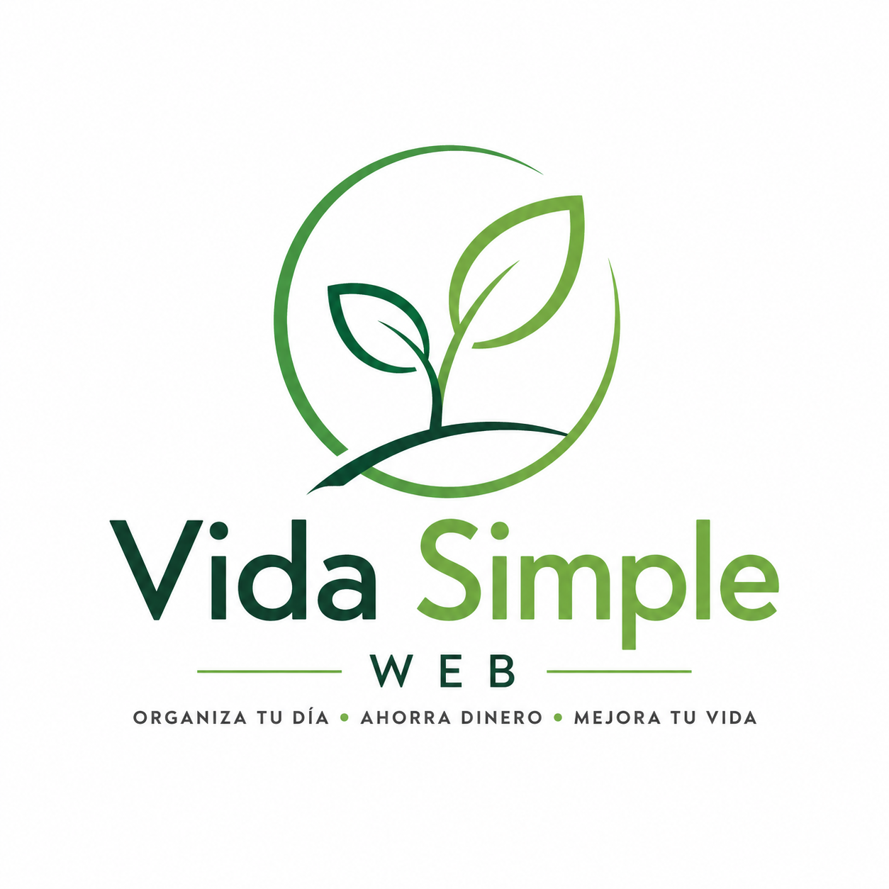 vidasimpleweb.com